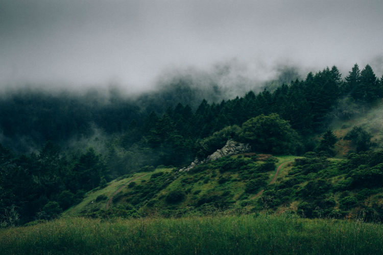 ddos服务器攻击手段